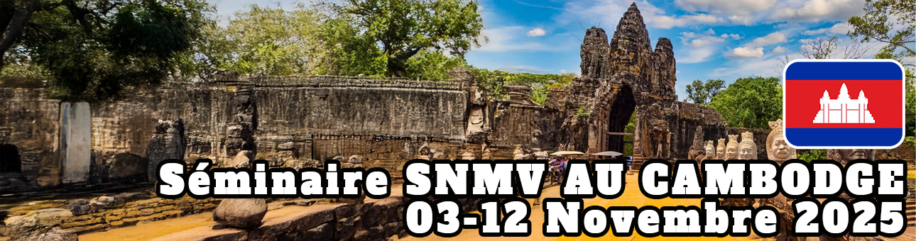 Séminaire SNMV au Cambodge